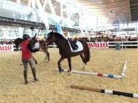 Kathrin Frankenberger mit Sammy im Cavallo Ring b.JPG